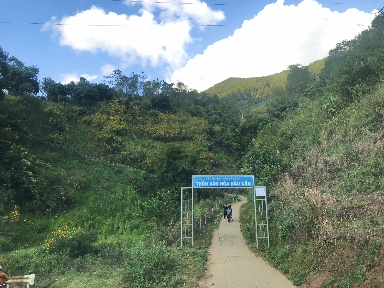 Trạm Tấu: Mùa những con đường nở hoa