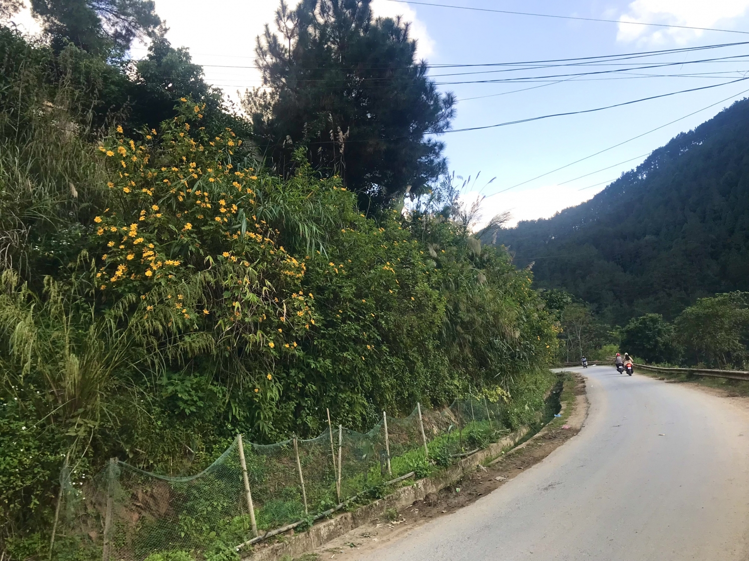 Trạm Tấu: Mùa những con đường nở hoa