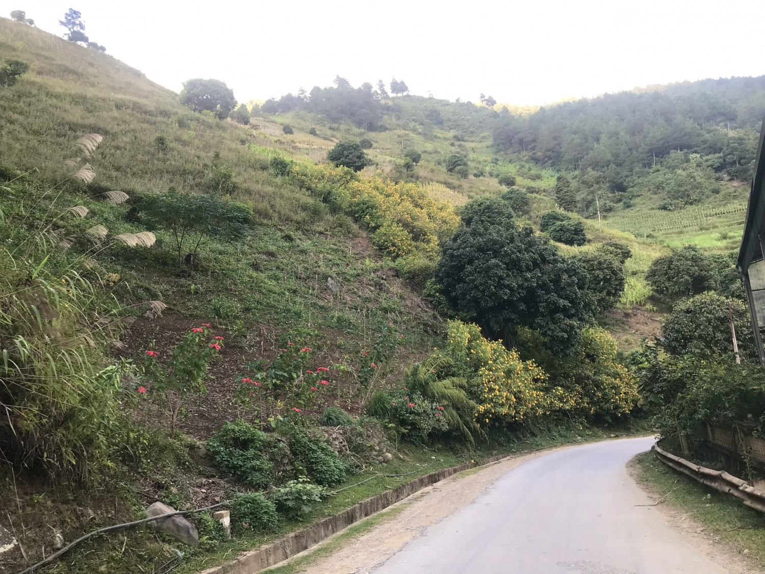 Trạm Tấu: Mùa những con đường nở hoa