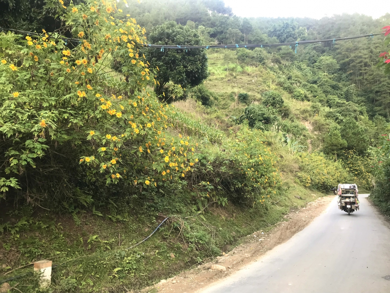 Trạm Tấu: Mùa những con đường nở hoa