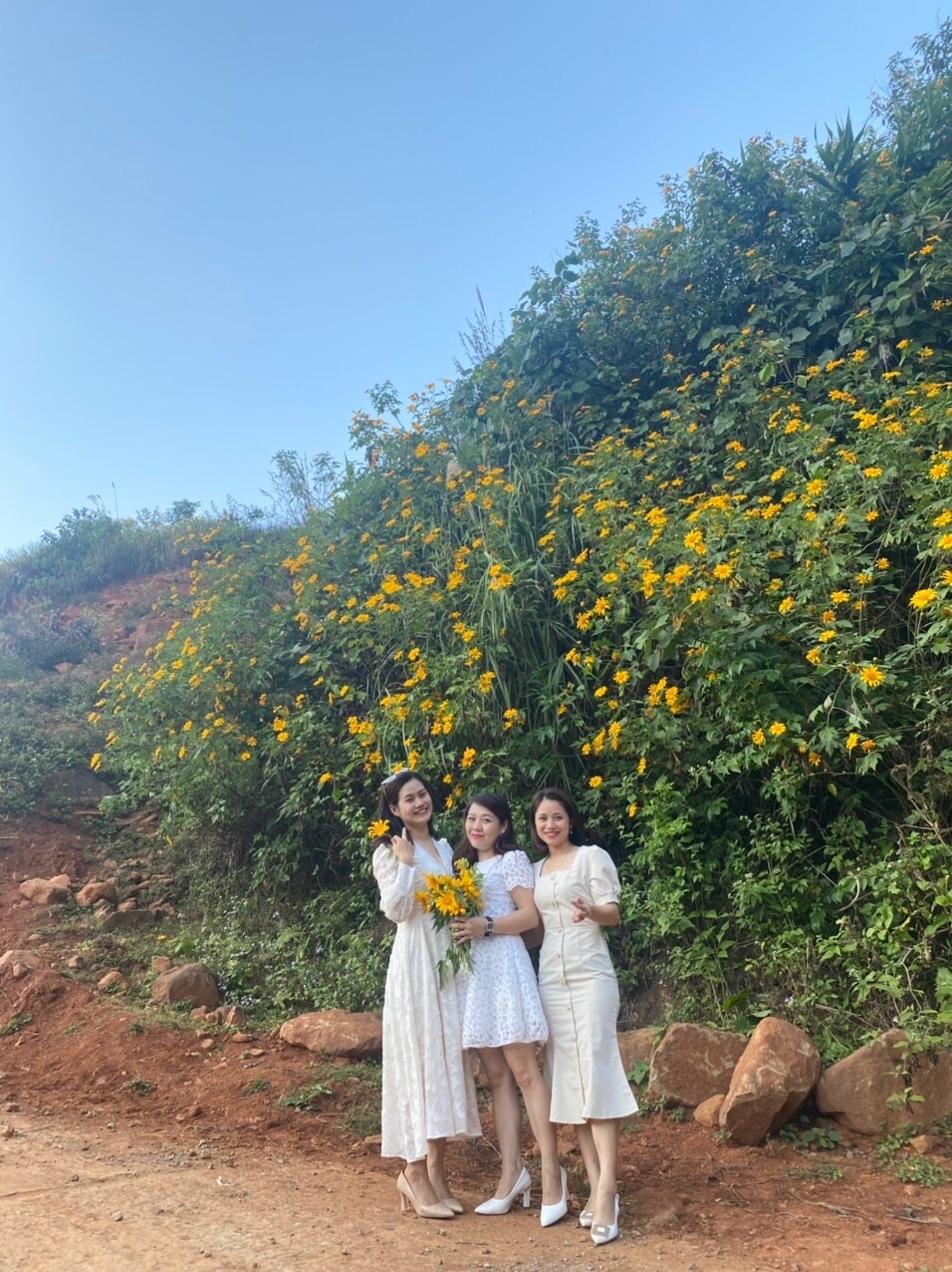 Trạm Tấu: Mùa những con đường nở hoa