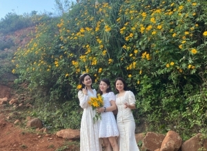 Trạm Tấu: Mùa những con đường nở hoa