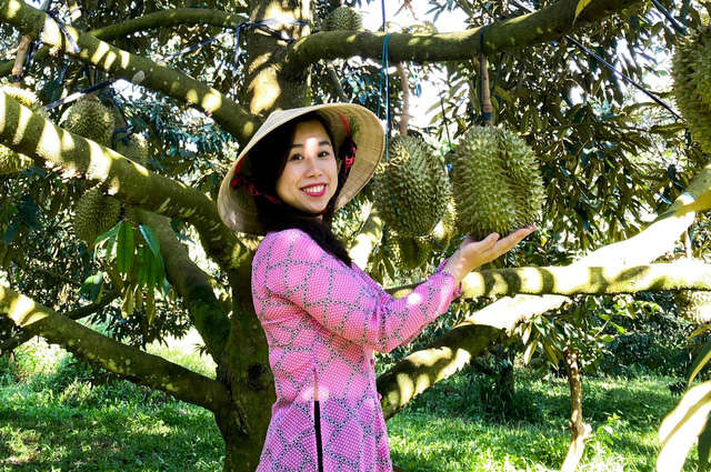 Nông dân và DN “chạy đua” nâng “chất” sầu riêng để chinh phục thị trường tỷ dân