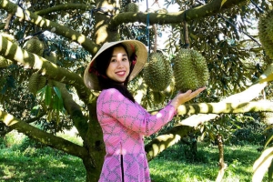 Nông dân và DN “chạy đua” nâng “chất” sầu riêng để chinh phục thị trường tỷ dân