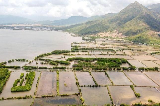 Kh&aacute;nh Ho&agrave; tạm dừng đăng k&yacute; 2.385 thửa đất li&ecirc;n quan đến sai phạm ảnh 2