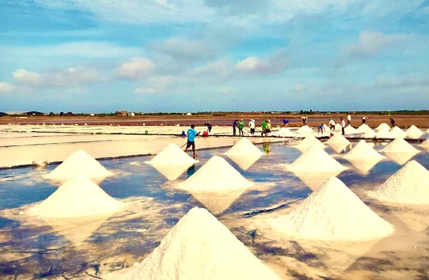 Bảo tồn và nâng giá trị cho nghề muối của diêm dân Bạc Liêu