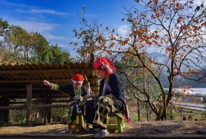 Mùa may áo mới ở bản người Dao đỏ