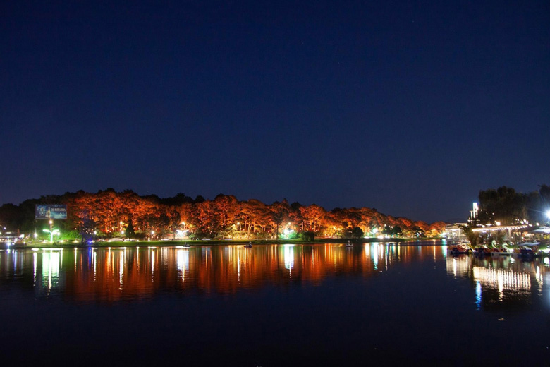 Đà Lạt: Lung linh ánh sáng nghệ thuật bên hồ Xuân Hương Đà Lạt: Lung linh ánh sáng nghệ thuật bên hồ Xuân Hương