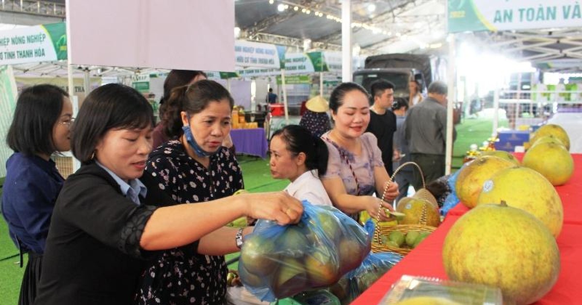 Thanh Hóa nhân rộng mô hình mỗi xã một sản phẩm Thanh Hóa nhân rộng mô hình mỗi xã một sản phẩm