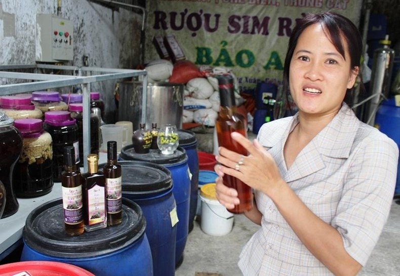 Thanh Hóa nhân rộng mô hình mỗi xã một sản phẩm Thanh Hóa nhân rộng mô hình mỗi xã một sản phẩm ảnh 1