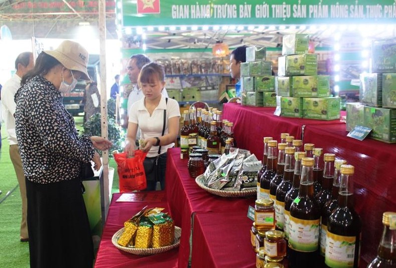 Thanh Hóa nhân rộng mô hình mỗi xã một sản phẩm Thanh Hóa nhân rộng mô hình mỗi xã một sản phẩm ảnh 3