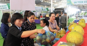 Thanh Hóa nhân rộng mô hình mỗi xã một sản phẩm