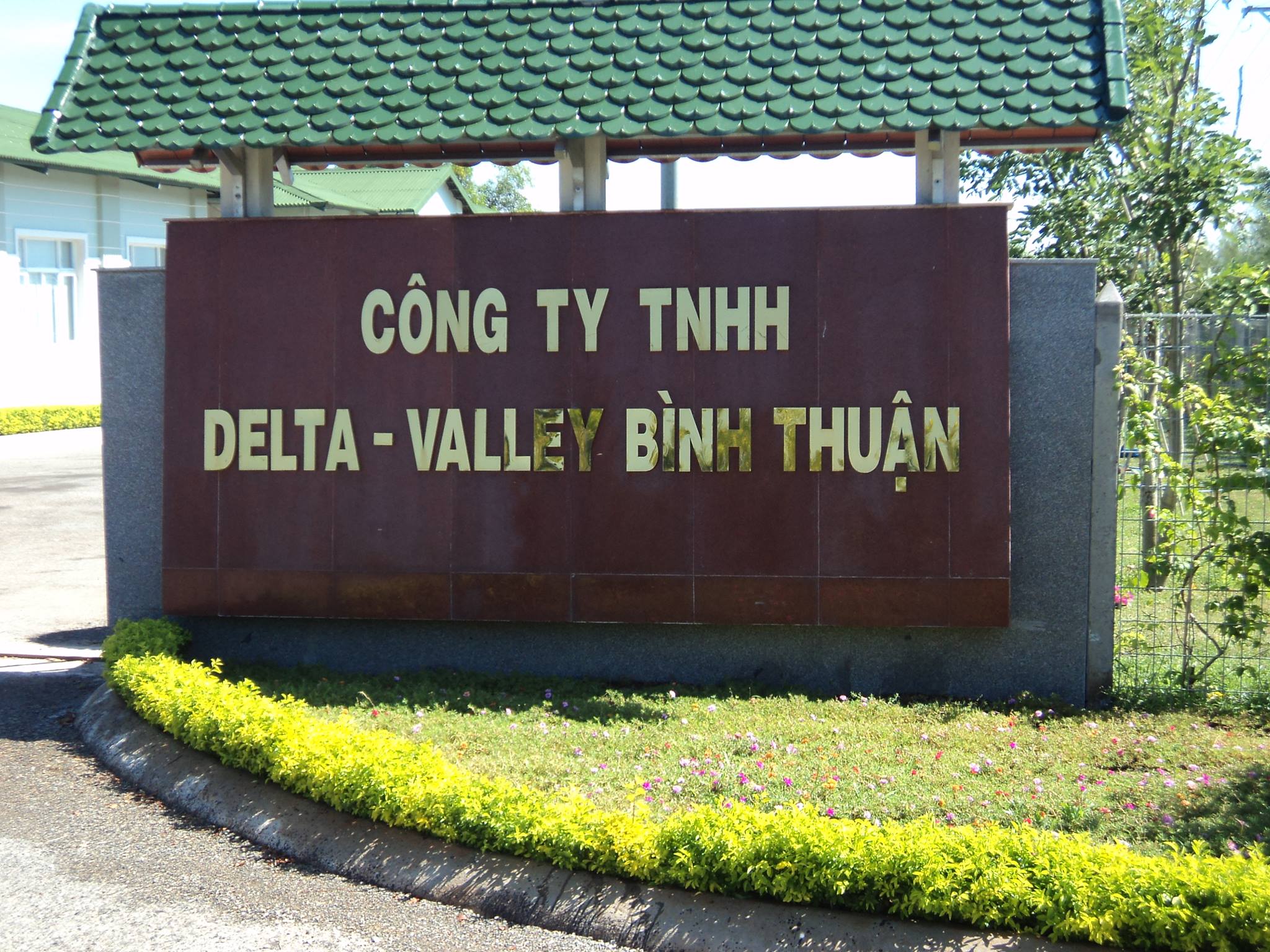 Công ty Delta Valley Bình Thuận chưa ký hợp đồng thuê và nộp thuế gần 249ha đất từ năm 2011