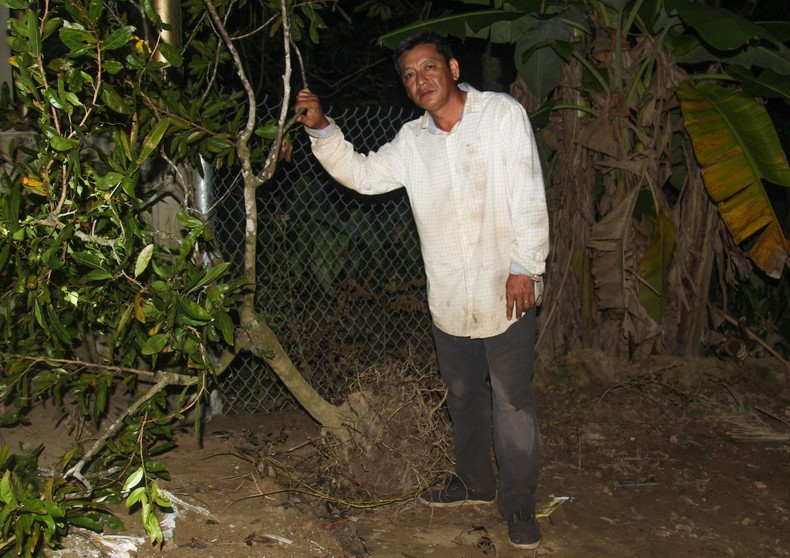 Vĩnh Long: Sạt lở đất nghiêm trọng, khoảng 10ha đất vườn chìm xuống sông ảnh 1