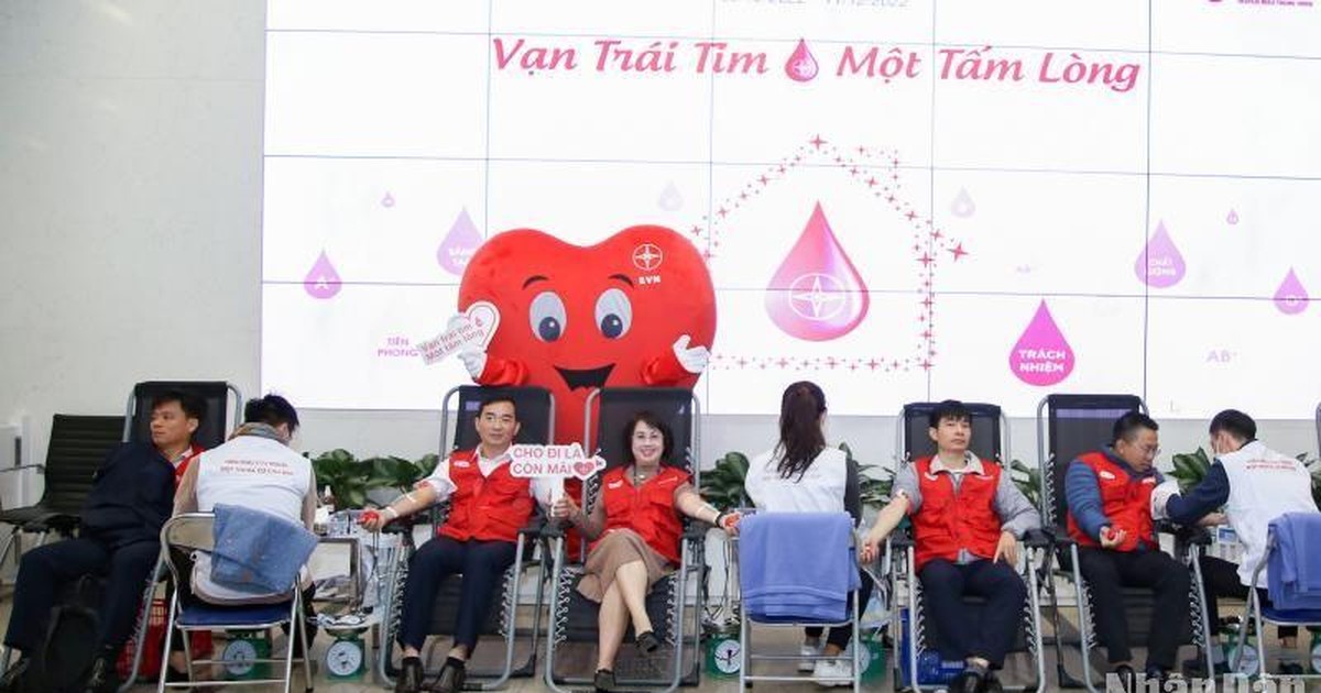 Phát động Tuần lễ hồng EVN lần thứ VIII