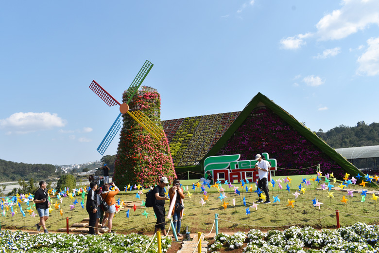 Du lịch những làng hoa Du lịch những làng hoa