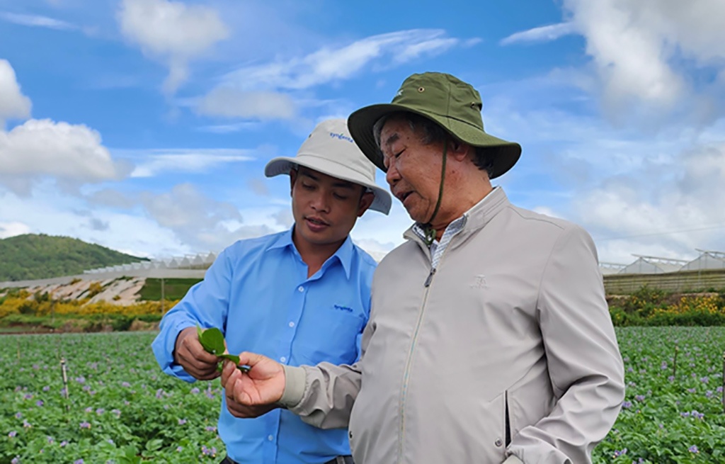 Trồng khoai tây bền vững với PepsiCo, Syngenta, nông dân thu lãi cả trăm triệu đồng Trồng khoai tây bền vững với PepsiCo, Syngenta, nông dân thu lãi cả trăm triệu đồng - ảnh 2