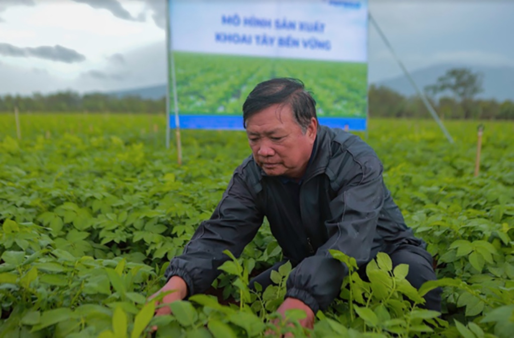 Trồng khoai tây bền vững với PepsiCo, Syngenta, nông dân thu lãi cả trăm triệu đồng Trồng khoai tây bền vững với PepsiCo, Syngenta, nông dân thu lãi cả trăm triệu đồng - ảnh 4