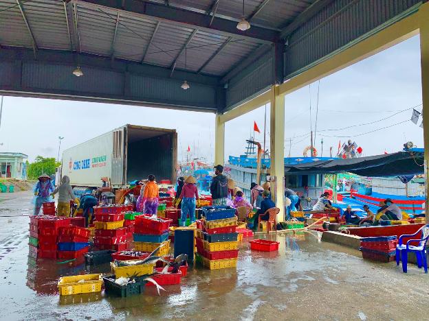 Quảng Ngãi: Tập trung tuyên truyền, chấm dứt tình trạng khai thác hải sản trái phép