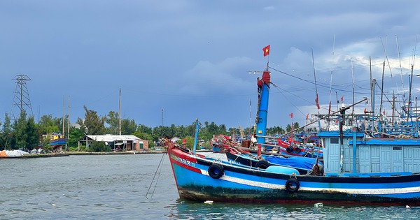 Quảng Ngãi: Tập trung tuyên truyền, chấm dứt tình trạng khai thác hải sản trái phép