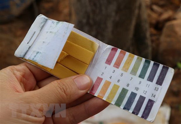 Gia Lai: Khoét núi, dựng lán trại để khai thác vàng trái phép Gia Lai: Khoét núi, dựng lán trại để khai thác vàng trái phép