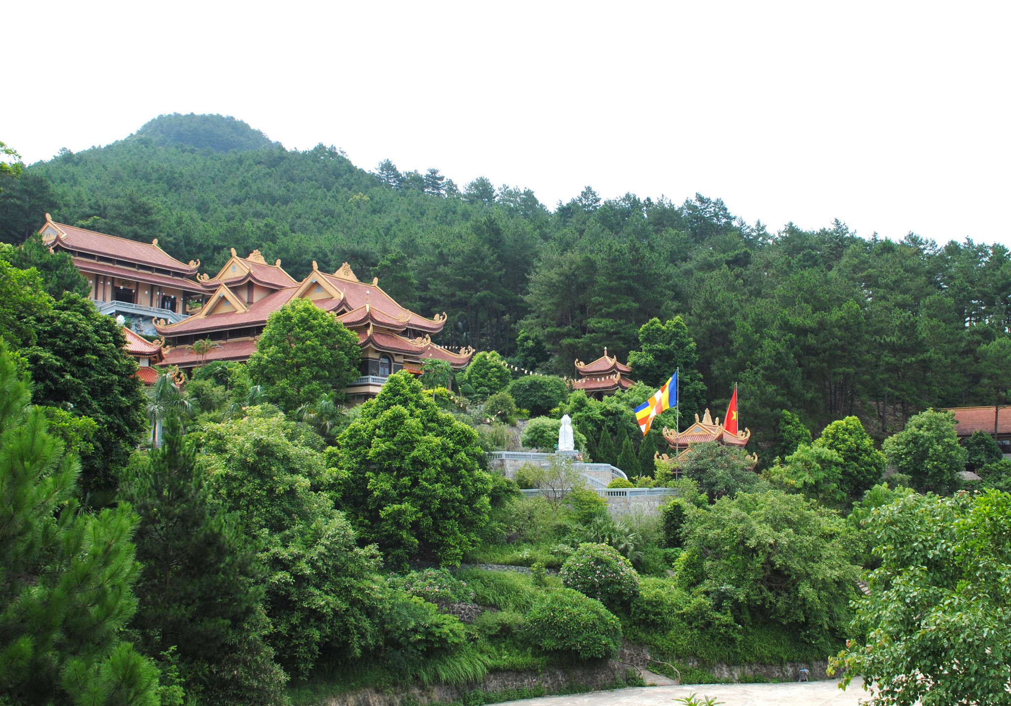 Tản mạn về Tam Đảo