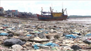 Khó khăn trong xử lý rác thải dọc bờ biển xã Ngư Lộc, Thanh Hóa