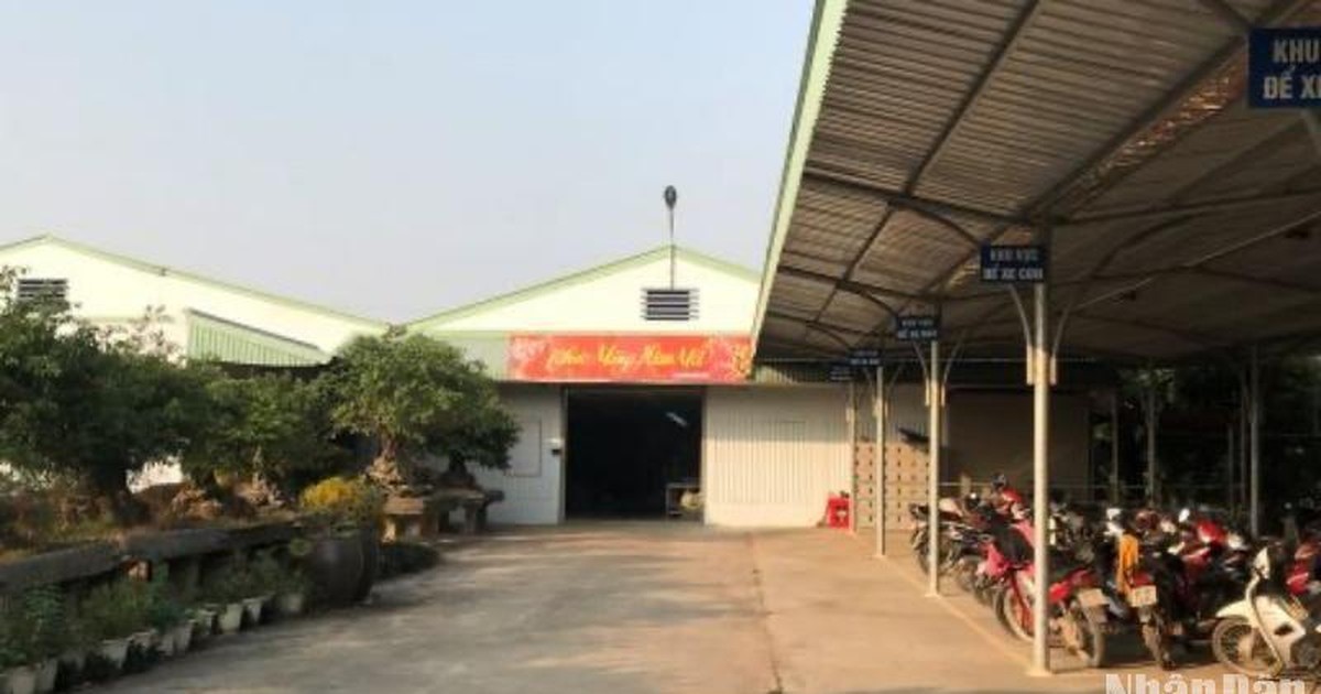 Thành phố Hưng Yên kiên quyết xử lý trường hợp xây dựng trái phép trên đất nông nghiệp