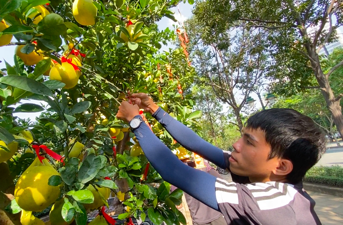 Bưởi Diễn gi&aacute; h&agrave;ng chục triệu đồng &lsquo;đổ bộ&rsquo; v&agrave;o TPHCM đ&oacute;n Tết ảnh 9