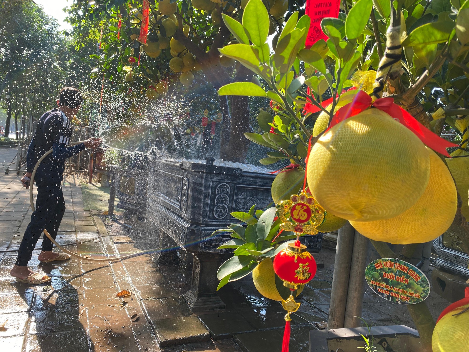 Bưởi Diễn gi&aacute; h&agrave;ng chục triệu đồng &lsquo;đổ bộ&rsquo; v&agrave;o TPHCM đ&oacute;n Tết ảnh 10