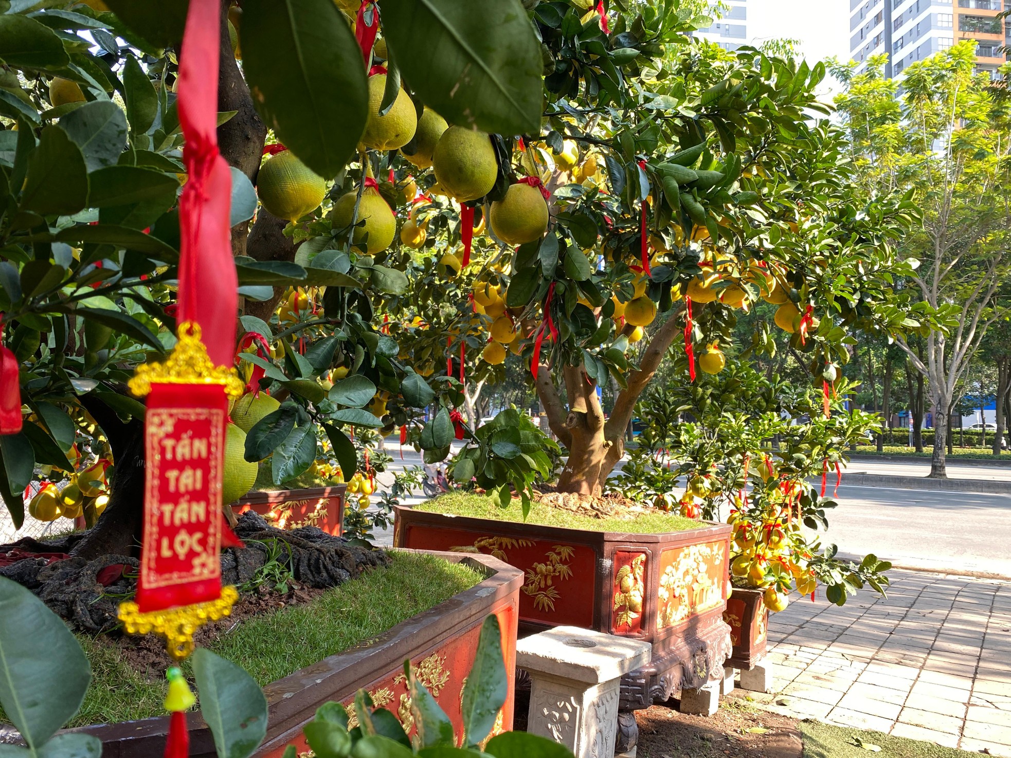 Bưởi Diễn gi&aacute; h&agrave;ng chục triệu đồng &lsquo;đổ bộ&rsquo; v&agrave;o TPHCM đ&oacute;n Tết ảnh 12