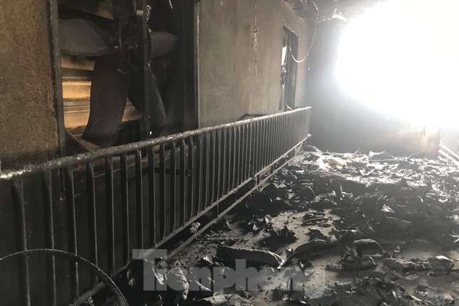 Cảnh tan hoang ở trang trại lợn hơn nghìn con bị lửa thiêu Cảnh tan hoang ở trang trại lợn hơn nghìn con bị lửa thiêu ảnh 4