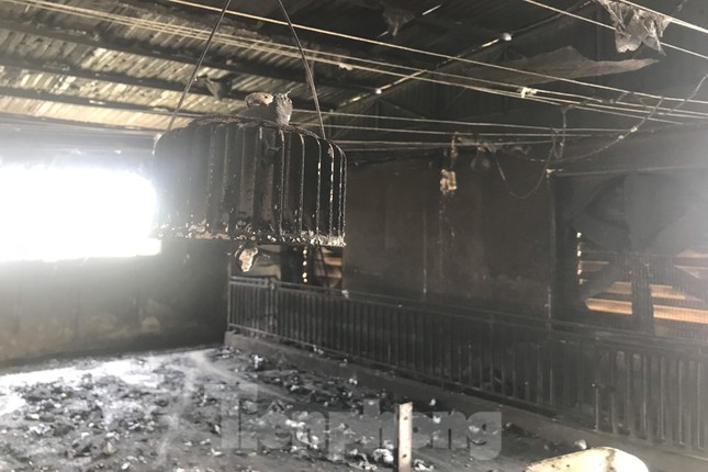 Cảnh tan hoang ở trang trại lợn hơn nghìn con bị lửa thiêu Cảnh tan hoang ở trang trại lợn hơn nghìn con bị lửa thiêu ảnh 5