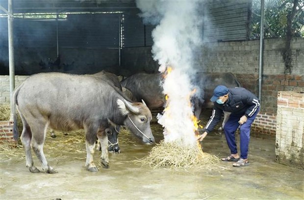 Vùng núi phía Bắc có nơi dưới 0 độ, nguy cơ băng giá, sương muối