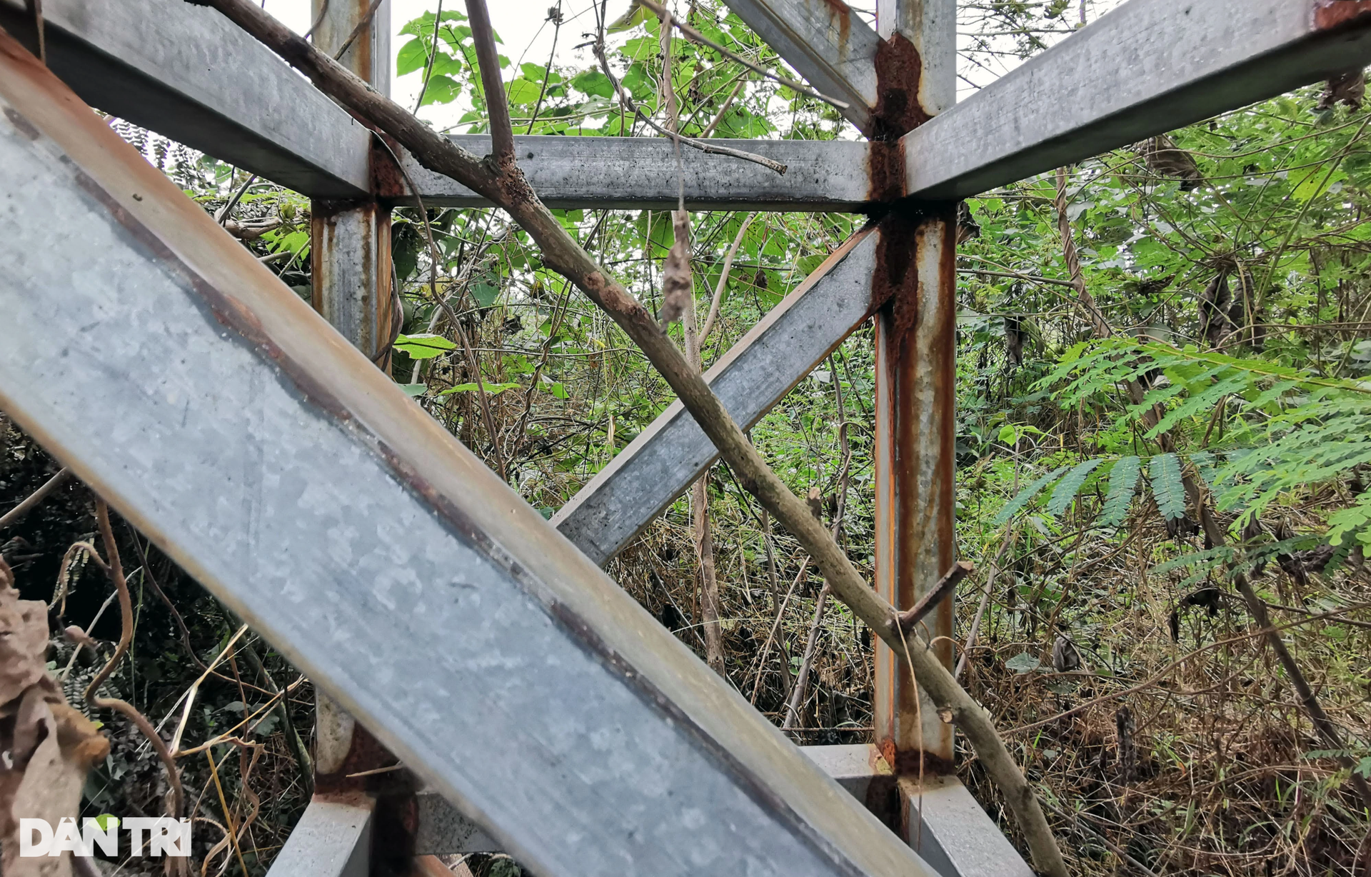 Soi 2 khu đất vàng ở Hà Nội mà Tân Hoàng Minh có thể bán để trả nợ - 10 Soi 2 khu đất vàng ở Hà Nội mà Tân Hoàng Minh có thể bán để trả nợ - 10