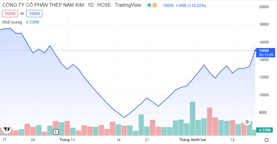 Phó Tổng Giám đốc Thép Nam Kim (NKG)