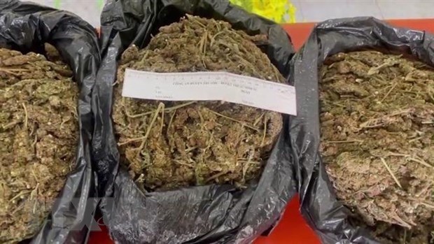 Thừa Thiên-Huế: Bắt 4 đối tượng vận chuyển trái phép hơn 4kg cần sa Thừa Thiên-Huế: Bắt 4 đối tượng vận chuyển trái phép hơn 4kg cần sa