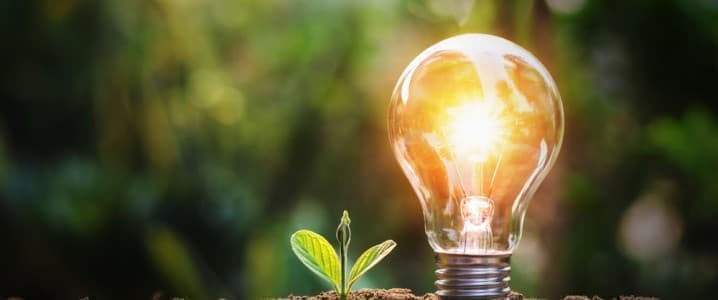 “Pin năng lượng mặt trời sống” mở đường cho công nghệ năng lượng bền vững “Pin năng lượng mặt trời sống” mở đường cho công nghệ năng lượng bền vững