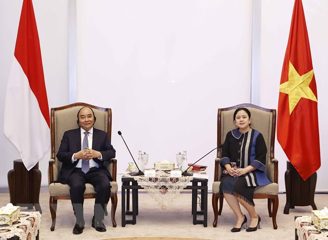 Chủ tịch nước: Quan hệ Việt Nam-Indonesia ngày càng phát triển mạnh mẽ