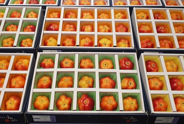 T&aacute;o ng&ocirc;i sao lạ mắt, qu&yacute;t 300.000 đồng/quả dịp Tết ảnh 3