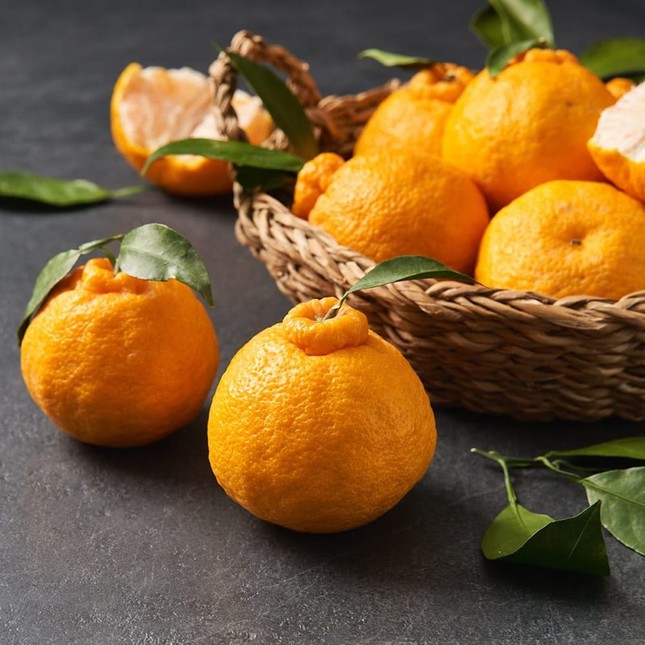 T&aacute;o ng&ocirc;i sao lạ mắt, qu&yacute;t 300.000 đồng/quả dịp Tết ảnh 2