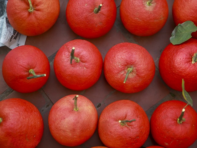 T&aacute;o ng&ocirc;i sao lạ mắt, qu&yacute;t 300.000 đồng/quả dịp Tết ảnh 5