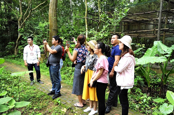 Đến thăm ngôi nhà của các loài linh trưởng tại rừng quốc gia Cúc Phương