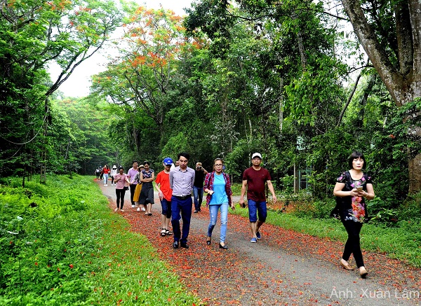 Đến thăm ngôi nhà của các loài linh trưởng tại rừng quốc gia Cúc Phương