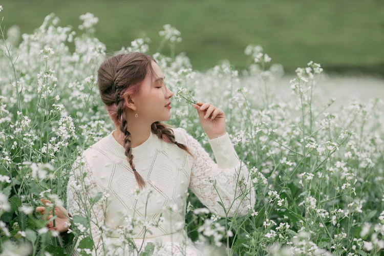 Mùa hoa cải trắng đẹp nức lòng tại Mộc Châu Mùa hoa cải trắng đẹp nức lòng tại Mộc Châu