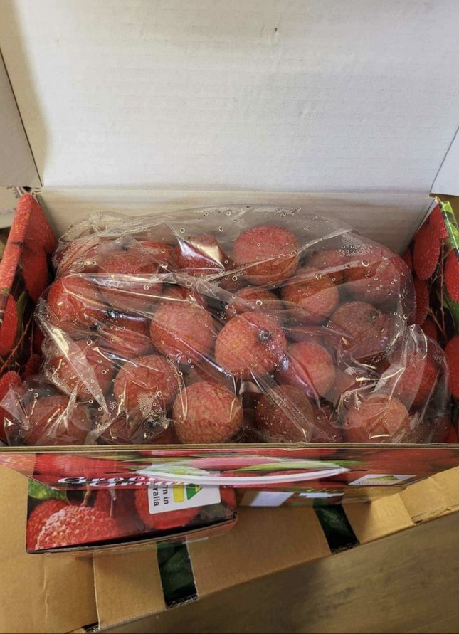 Vải thiều 'đi m&aacute;y bay' từ &Uacute;c về Việt Nam, gi&aacute; 1,3 triệu đồng/kg ảnh 1