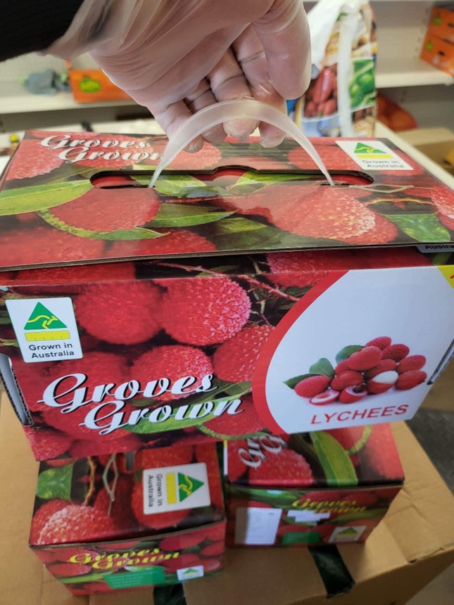 Vải thiều 'đi m&aacute;y bay' từ &Uacute;c về Việt Nam, gi&aacute; 1,3 triệu đồng/kg ảnh 3