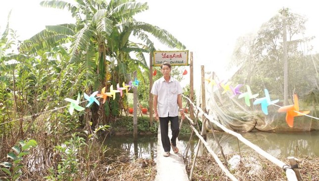 5.000 tấn quýt hồng khoe sắc vàng rực phục vụ Tết 5.000 tấn quýt hồng khoe sắc vàng rực phục vụ Tết ảnh 16