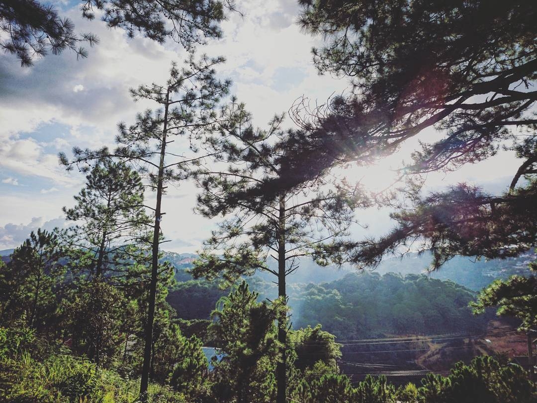 Khám phá kiến trúc độc đáo của chùa Tàu Đà Lạt Khám phá kiến trúc độc đáo của chùa Tàu Đà Lạt