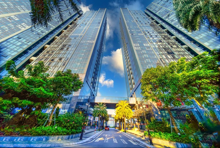 Những khu vườn trong phố đắt giá của “Nhà Sunshine” Những khu vườn trong phố đắt giá của “Nhà Sunshine” ảnh 2